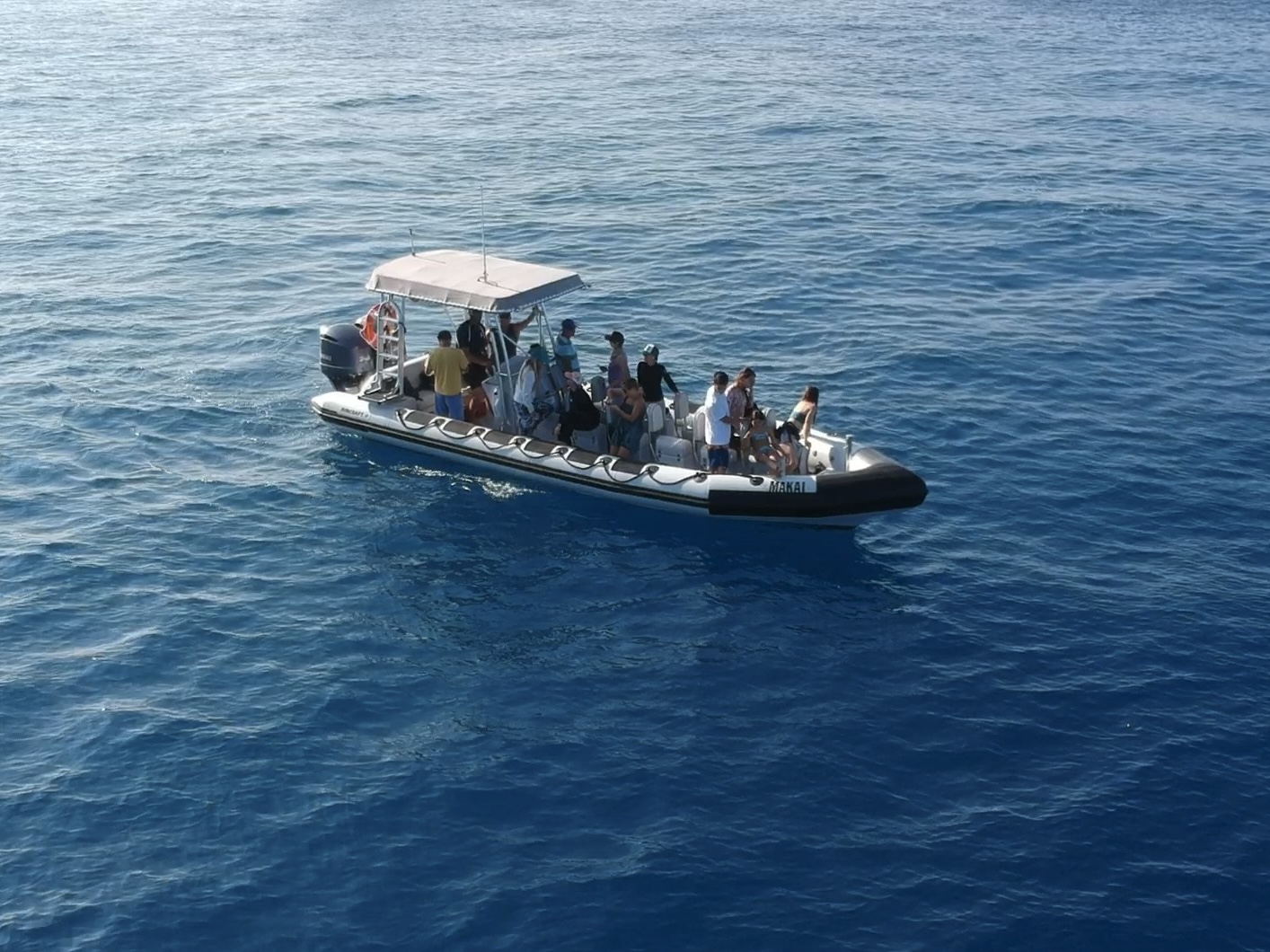 Featured image for “30′ Ribcraft (15-pax USCG COI)”