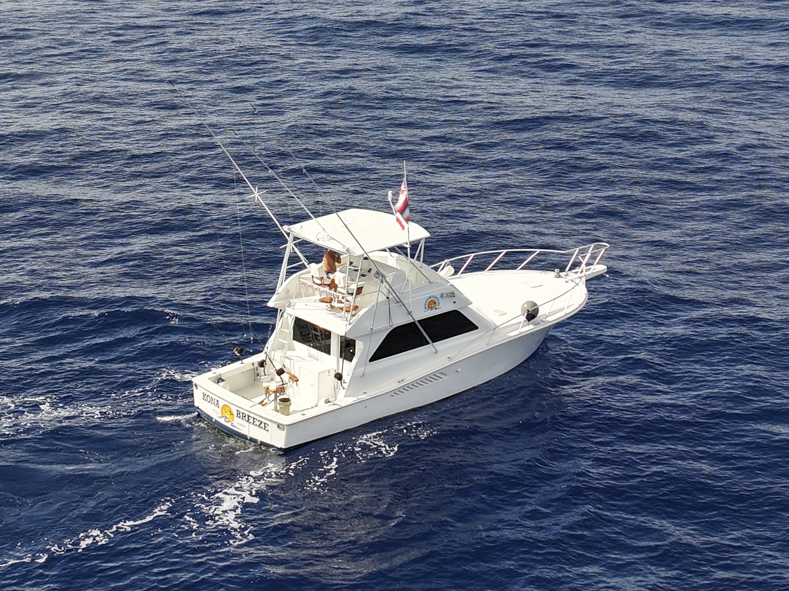 Featured image for “43′ Viking “Kona Breeze” w/Honokohau Commercial Charter Corporation, Commercial Use & Mooring Permits”