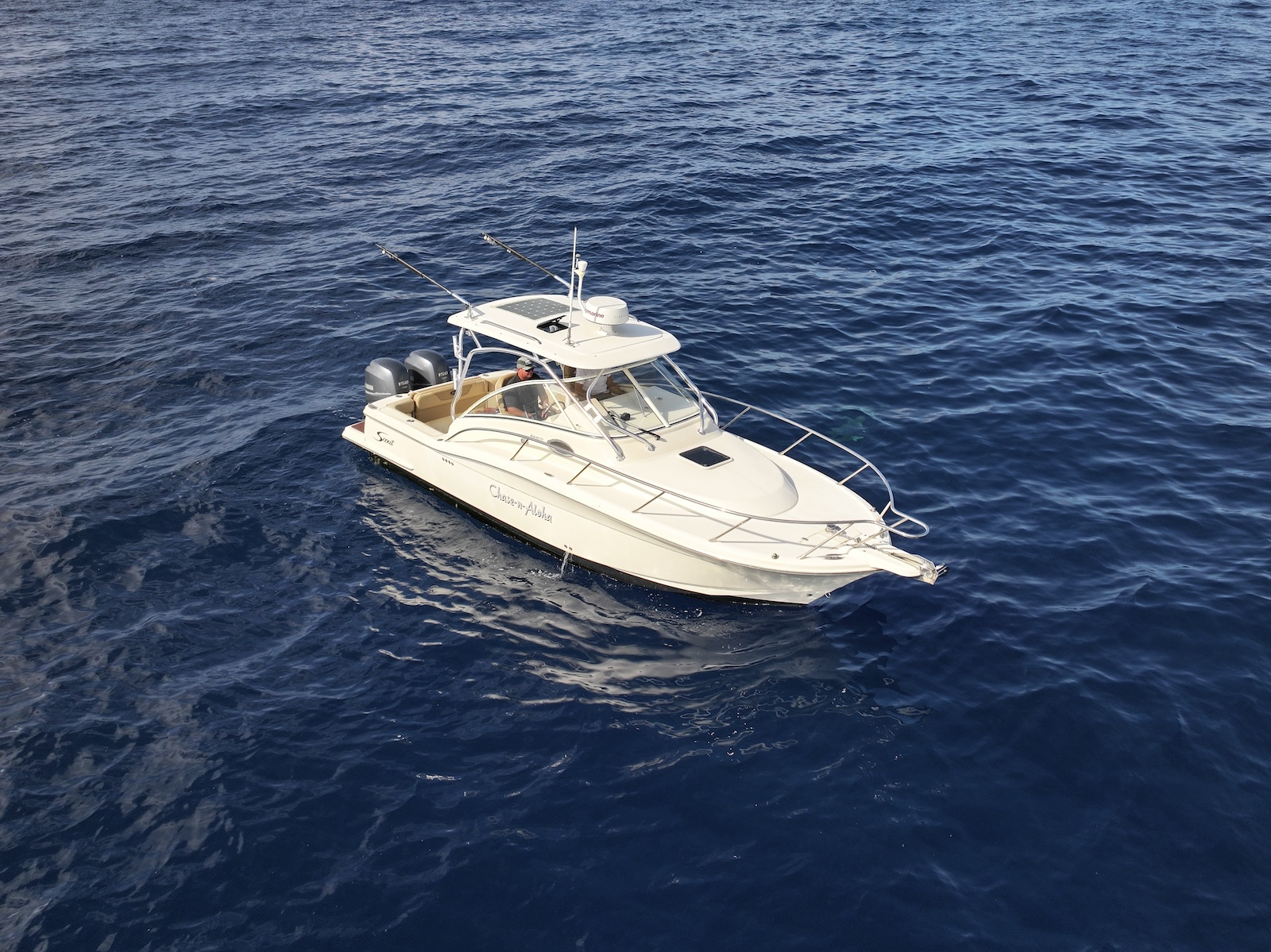 Featured image for “26′ Scout 262 Abaco”